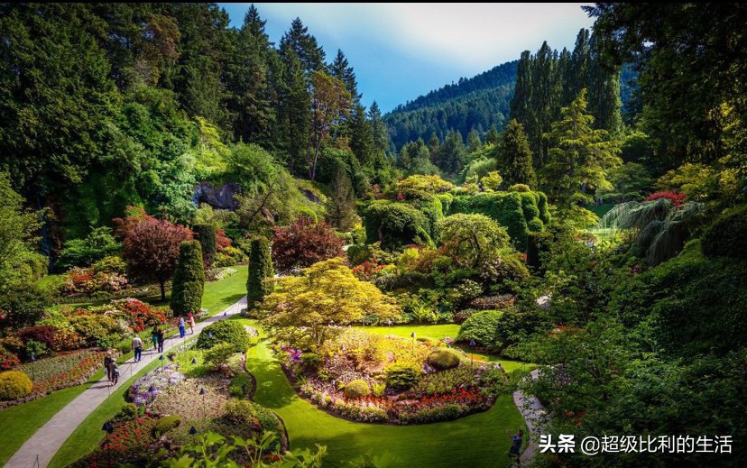 今日特码科普！暗夜与黎明免费观看电视剧完整版高清,百科词条爱好_2024最快更新