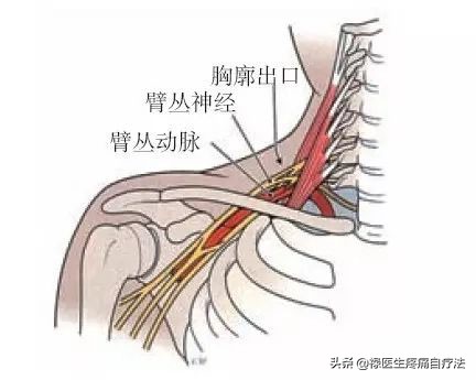 今日特码科普！肩膀有点麻,百科词条爱好_2024最快更新